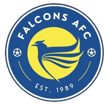 Montpellier badge